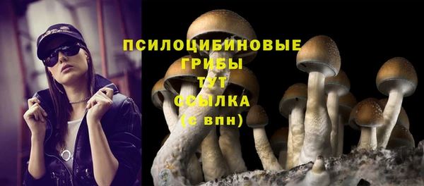сатива Медногорск
